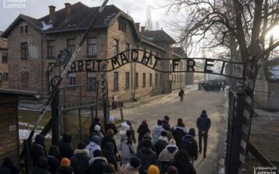 80 ans de la libération d’Auschwitz : les survivants pour mémoire