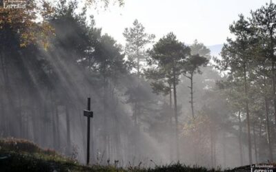 11-Novembre : faut-il modifier le discours de la ministre en Alsace-Moselle ?