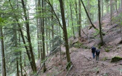 Qu&rsquo;est-ce qu&rsquo;était le Sentier des Passeurs, durant la Seconde Guerre mondiale, à Moussey ?